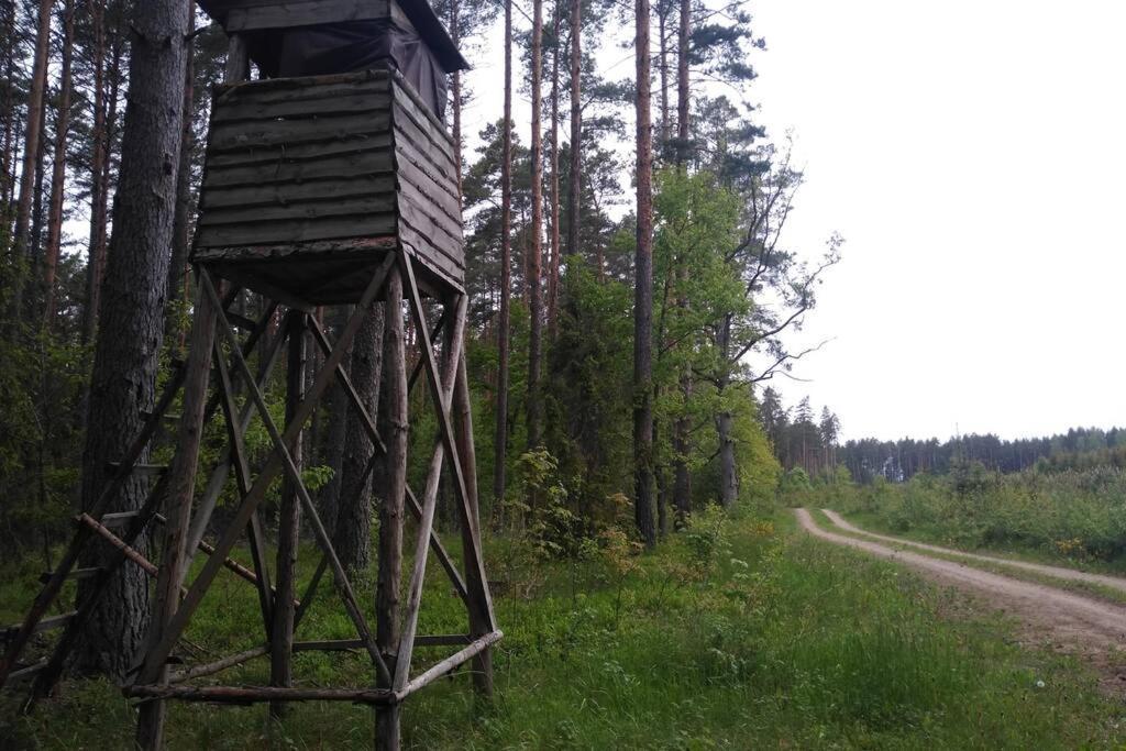Dom Wakacyjny - Zakatek Marzenie Orzyny Exteriér fotografie
