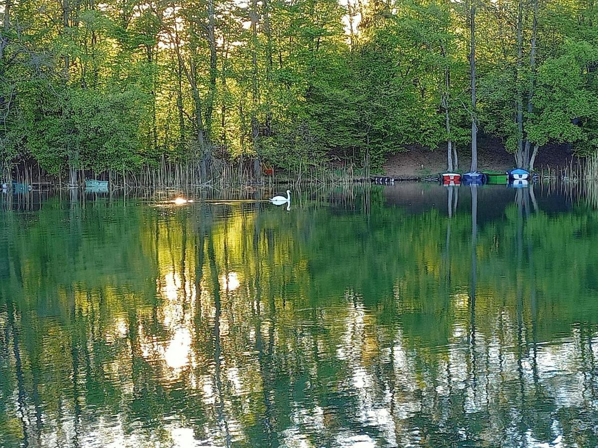 Dom Wakacyjny - Zakatek Marzenie Orzyny Exteriér fotografie